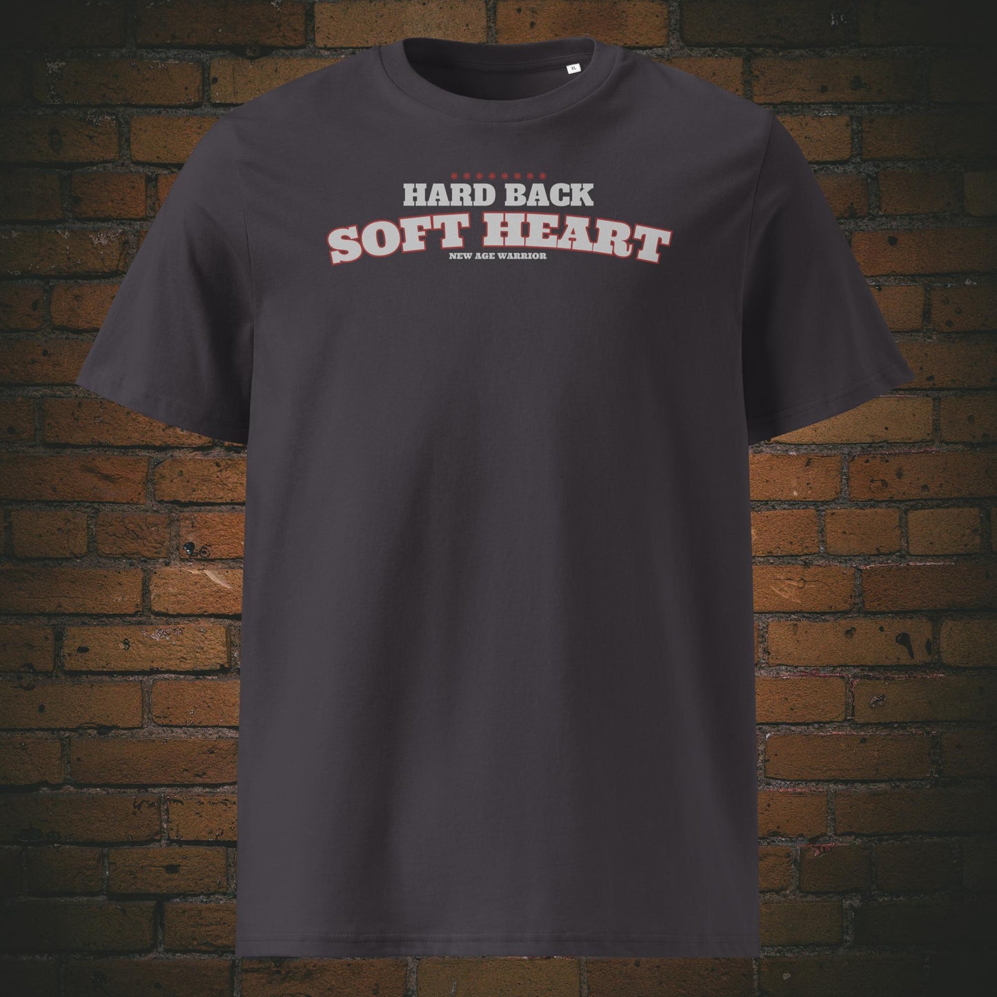 Spruch Bio-Baumwoll T-Shirt in anthrazit mit Spruch
