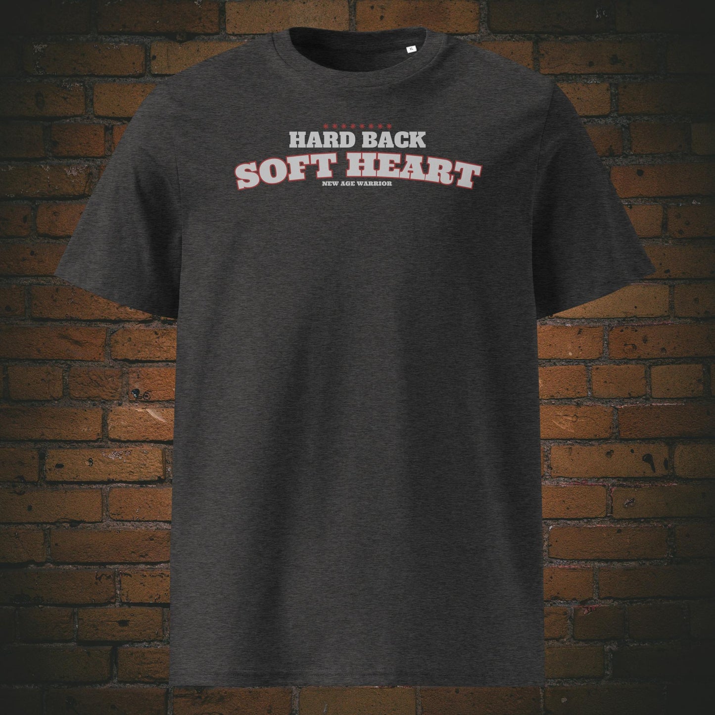 Spruch Bio-Baumwoll T-Shirt in dunkelgrau mit Spruch