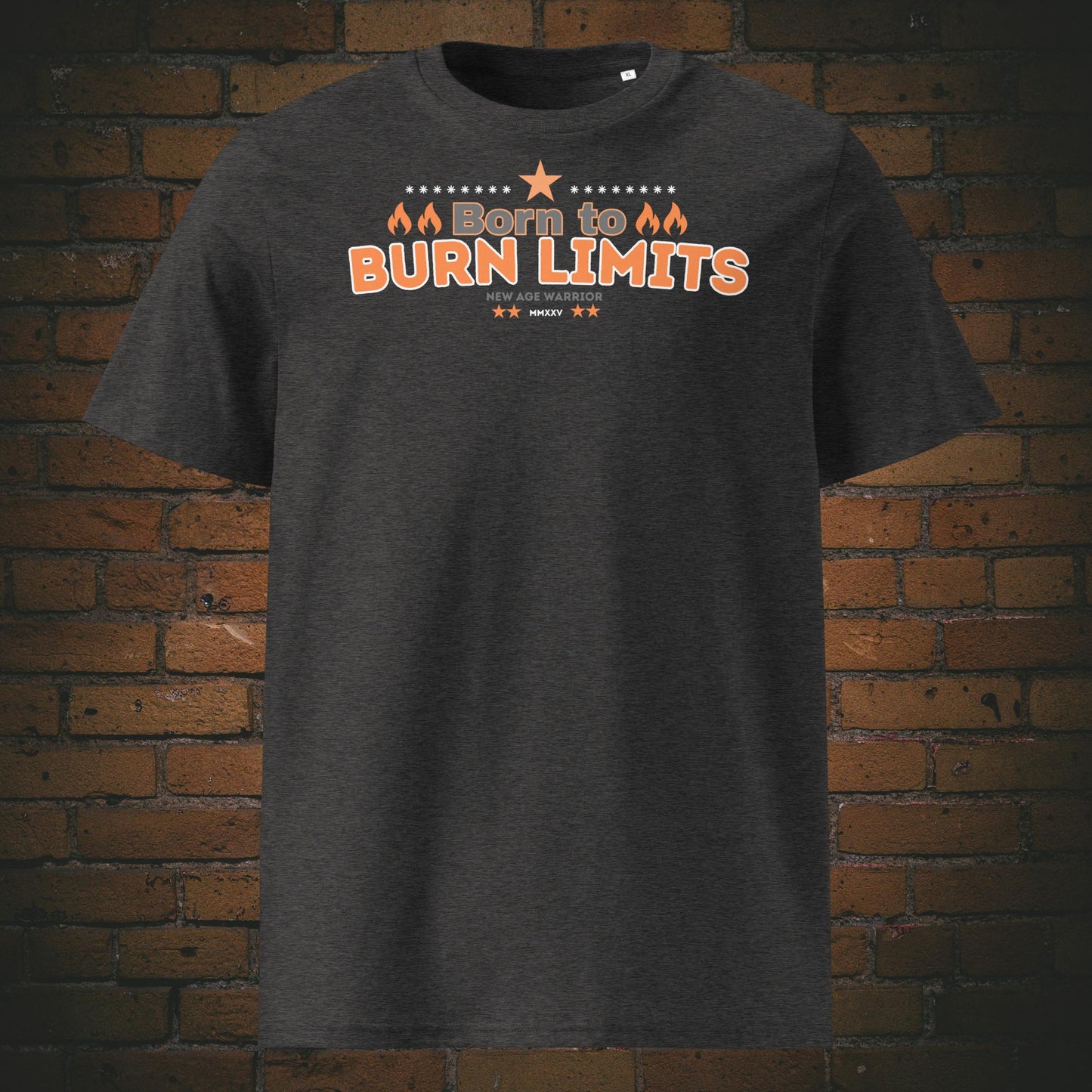 Born to Burn Limits – Rebel Statement Bio-T-Shirt Unisex in der Farbe dunkelgrau